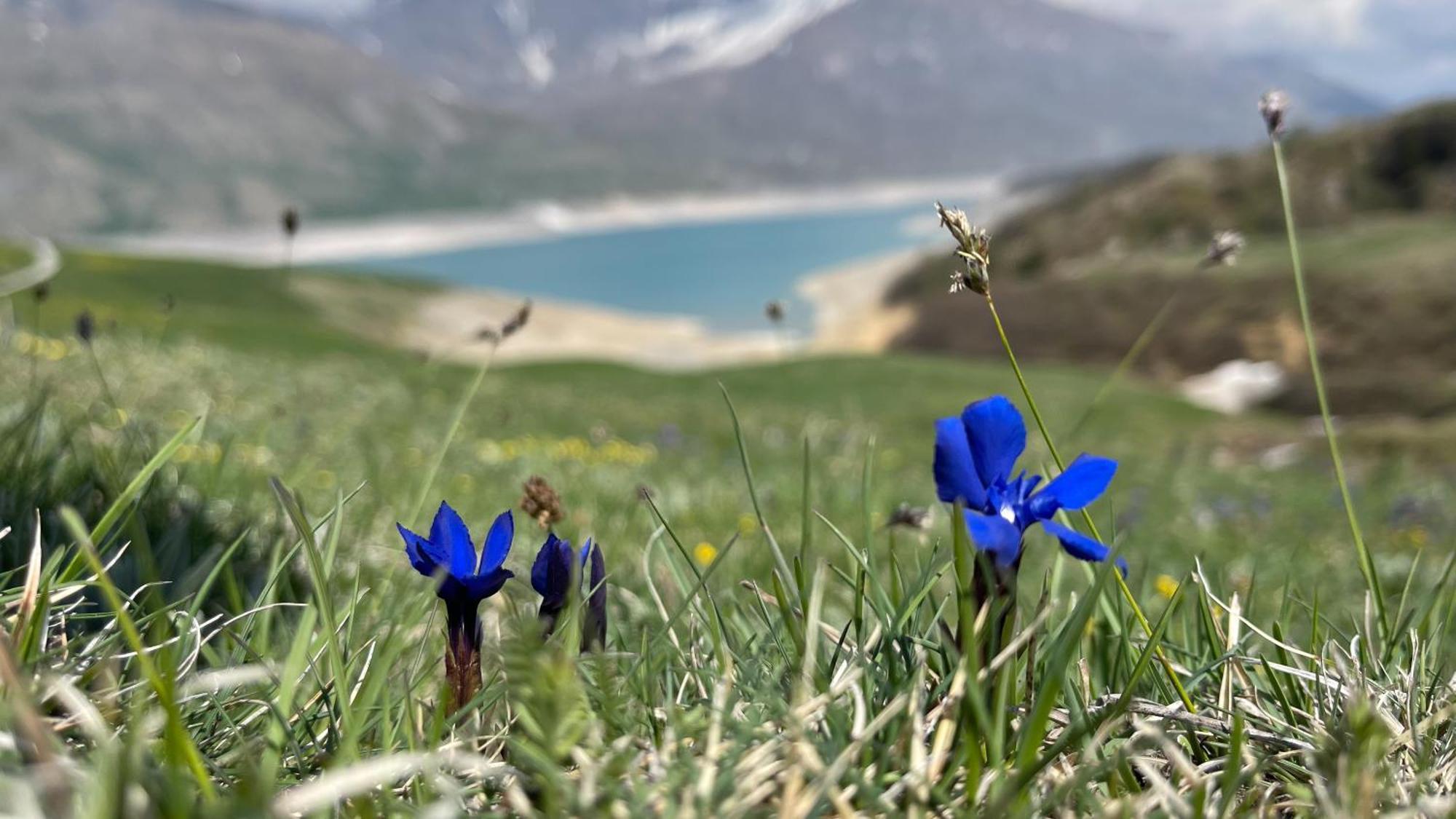 Aux Portes Du Parc National De La Vanoise Appartement Termignon Val Cenis Avec Wifi Eksteriør billede